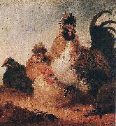 Aelbert Cuyp Rooster and Hens. oil painting picture wholesale